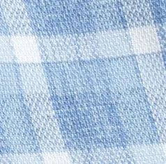 Performance Button Up Shirt - Roosevelt