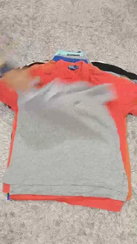 RALPH LAUREN POLO MEN'S T-SHIRTS - 30 PCS
